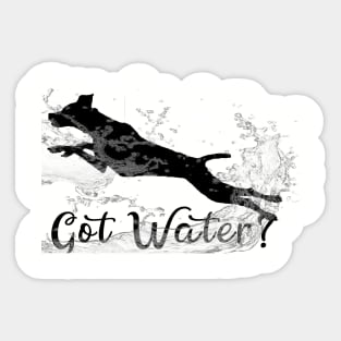 Dock Diving Dog Swimming Dog Sticker